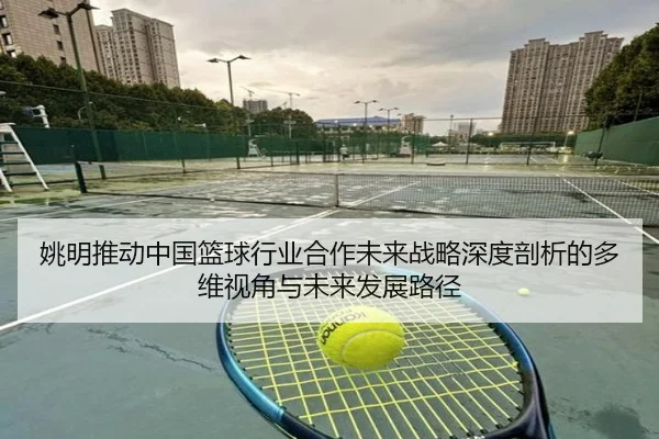 姚明推动中国篮球行业合作未来战略深度剖析的多维视角与未来发展路径